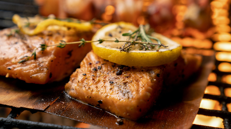 West Coast best food salmon on plank of wood with lemon