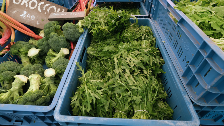 Fresh crate of arugula at the farmer's market next to crates with other vegetables