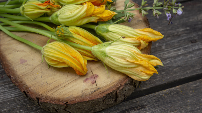 Squash blossoms on a countertop