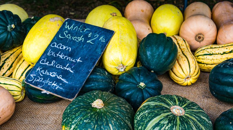 Winter squash varieties on a table outdoors with a sign on a board
