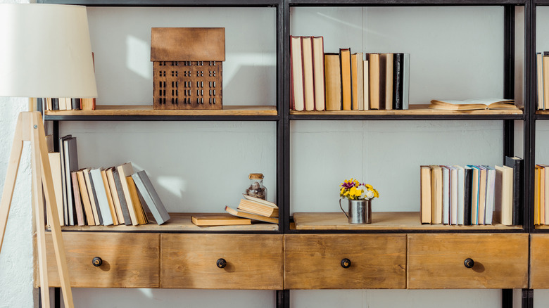 Wooden shelves with books and small mementos