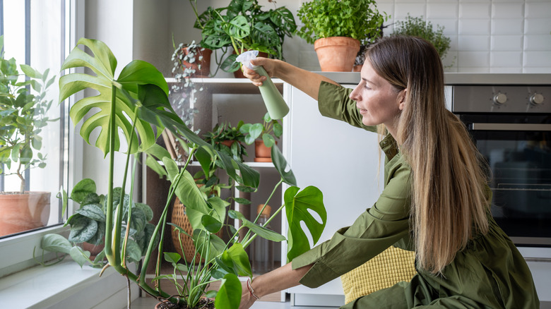 Woman watering a large plant in her kitchen, behind her more potted plants