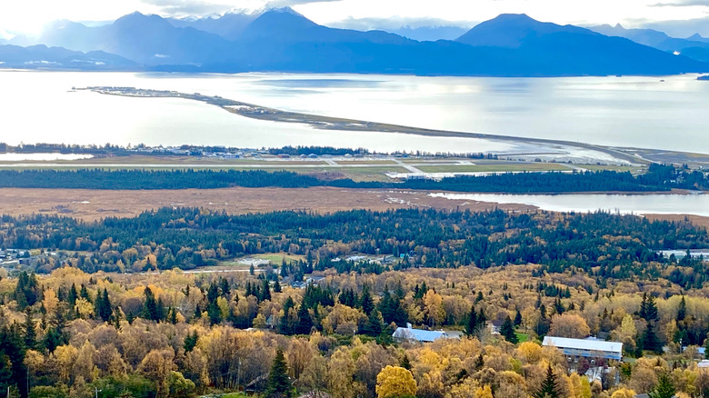 Homer in Alaska with a spit going into the sea
