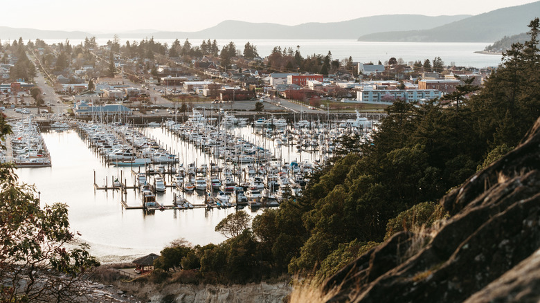 View of Anacortes on Fidalgo Island with a marina and ocean views