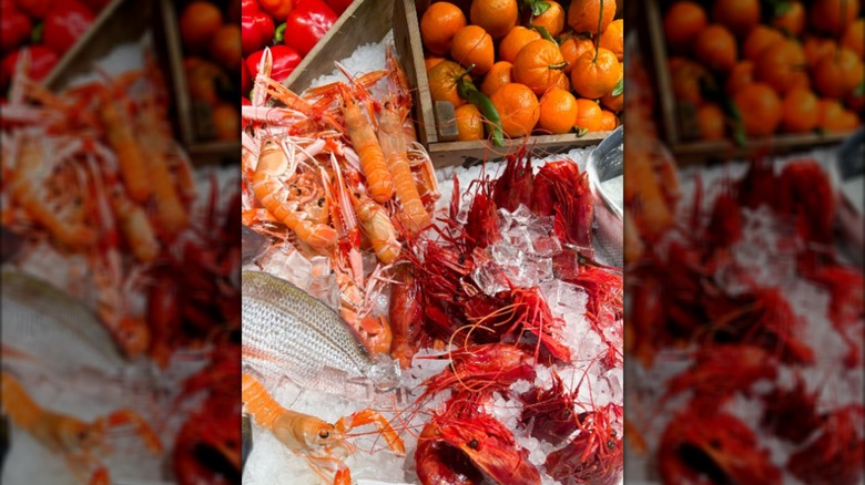 Assortment of fish and shellfish on ice