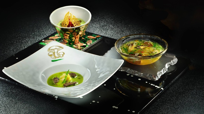 Assortment of fancy-looking dishes on white plates and a black tray