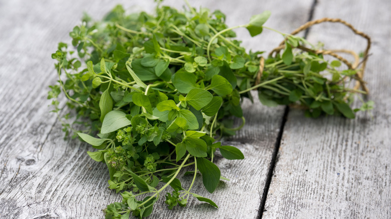 Bundle of fresh oregano on wooden table
