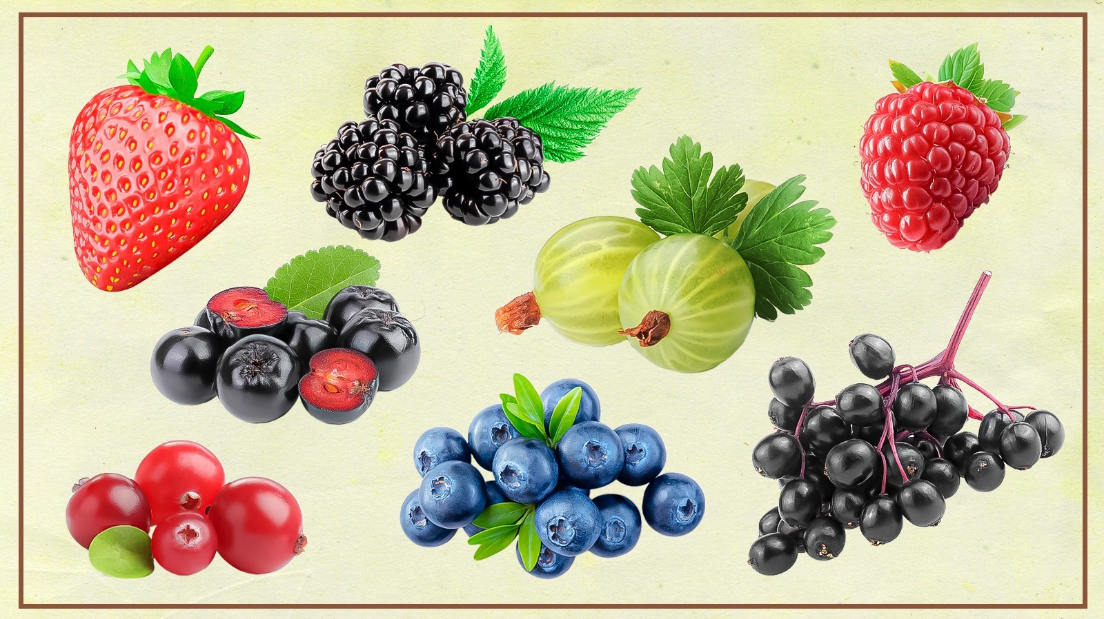 Different Types Of Berries Different Types Of Berries
