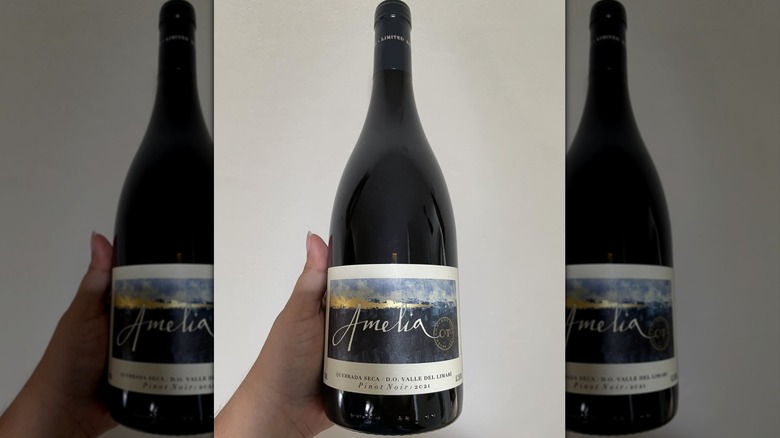 Hand holding bottle of Concha y Toro Viña Amelia Pinot Noir