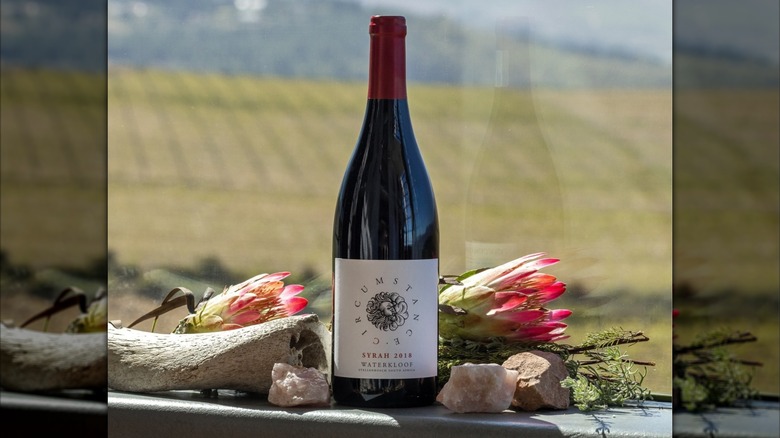 Waterkloof Circumstance Syrah bottle outdoors