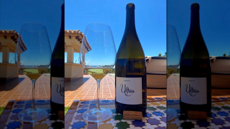 white wine bottle and glass