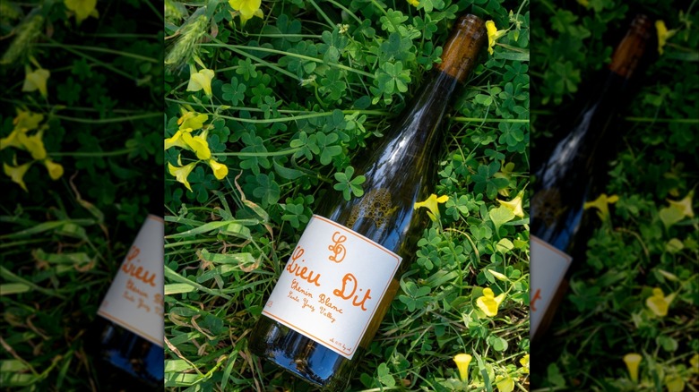 bottle of white wine lying in grass