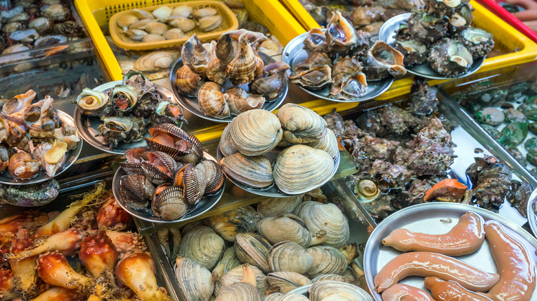 Seafood at Busan's fish market