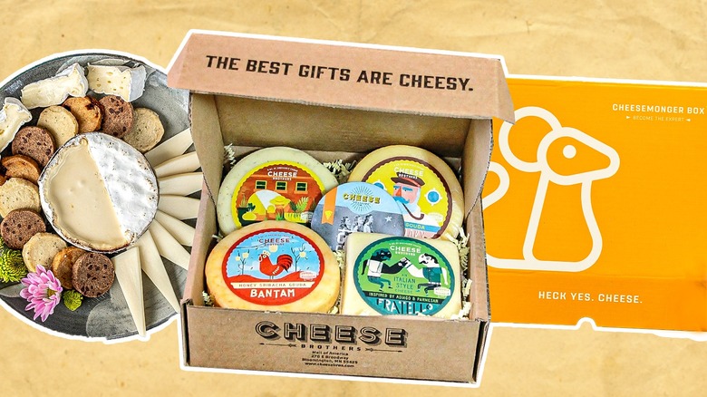 assorted cheese boxes