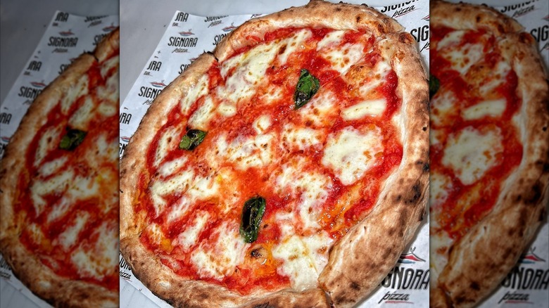 Wood-fired pizza with cheese and basil on Signora's paper