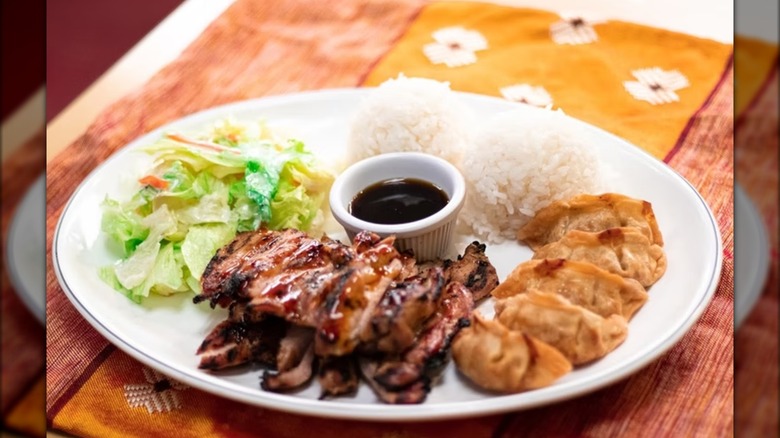 Teriyaki on plate with gyozas, rice, salad, and sauce