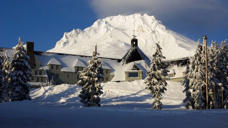 The Cascade Dining Room At Timberline Lodge with snow-covered trees and mountain