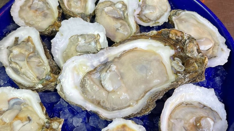 Platter of assorted sizes of open oysters