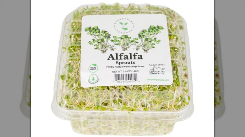Package of Everything Sprouts Alfalfa Mix on white background