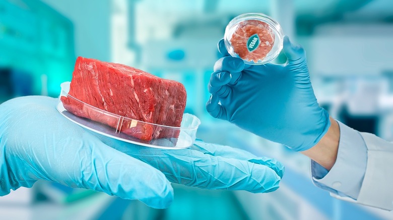 Cultured meat products in laboratory