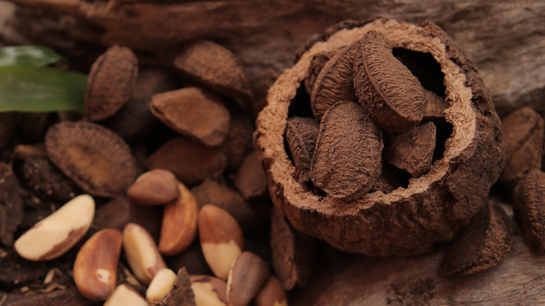 shelled Brazil nuts and nut pod