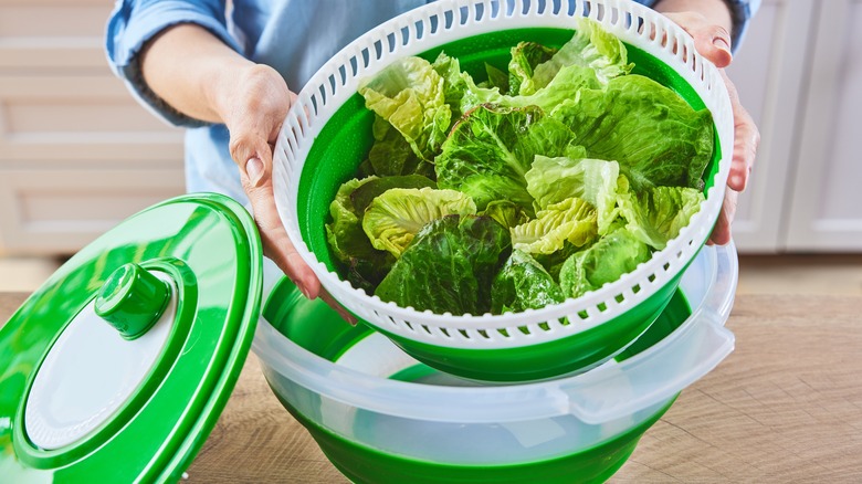 Person holding salad spinner