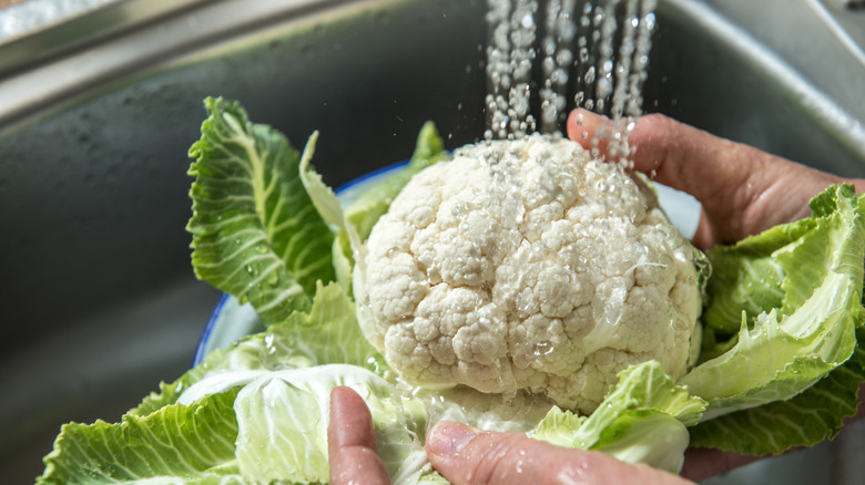 Person washing cauliflower in the sink