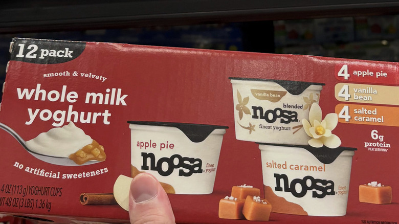Package of Noosa Yogurt Fall Variety Pack