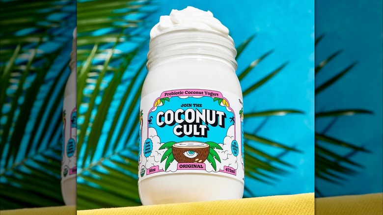 Coconut Cult yogurt with palm trees behind