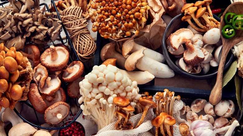 A variety of fresh mushrooms, including shiitakes and maitakes.
