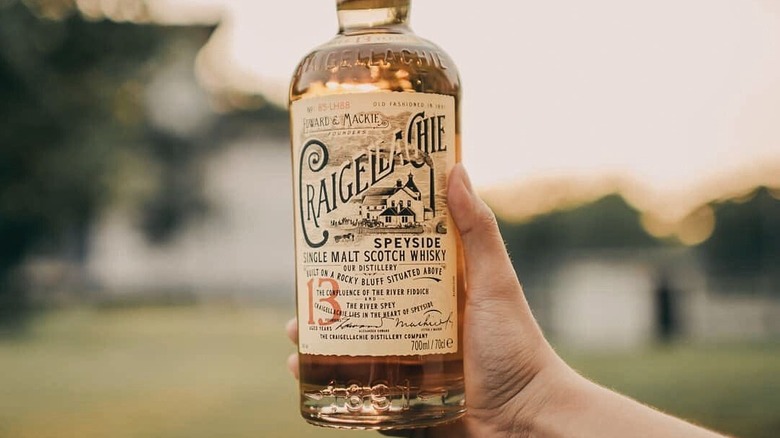 A person holding a bottle of Craigellachie 13-year up to camera with a blurred outdoor background