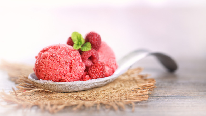 Raspberry sorbet in a spoon