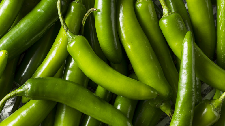 Pile of green ripe Serrano peppers