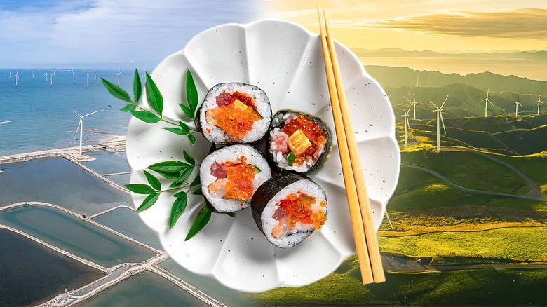 sushi floating over renewable energy farm