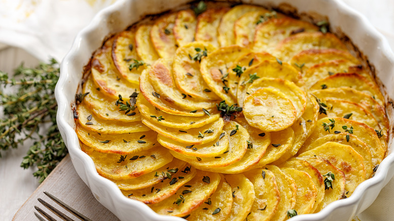 14 Tips You Need For The Ultimate Scalloped Potatoes