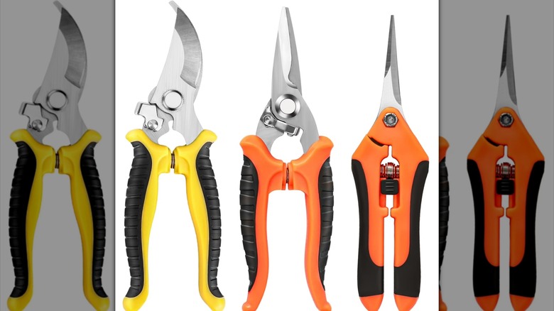 Three gardening shears with different blade styles