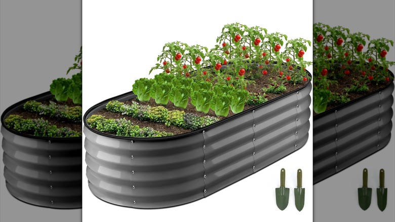 Computer-generated image of a raised bed with growing vegetables