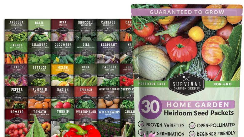 Product photo of 30 seed packets and a combo packet