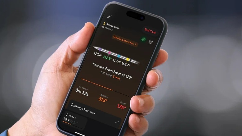 Someone holding a phone displaying the Chef IQ meat thermometer app