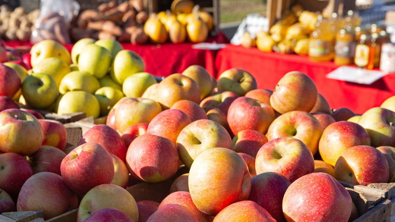 EverCrisp apples at a farmers market