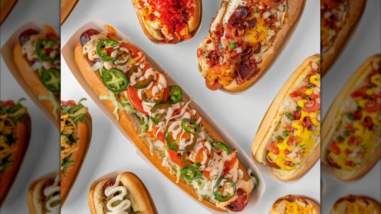 Assorted variety of gourmet hot dogs on white background
