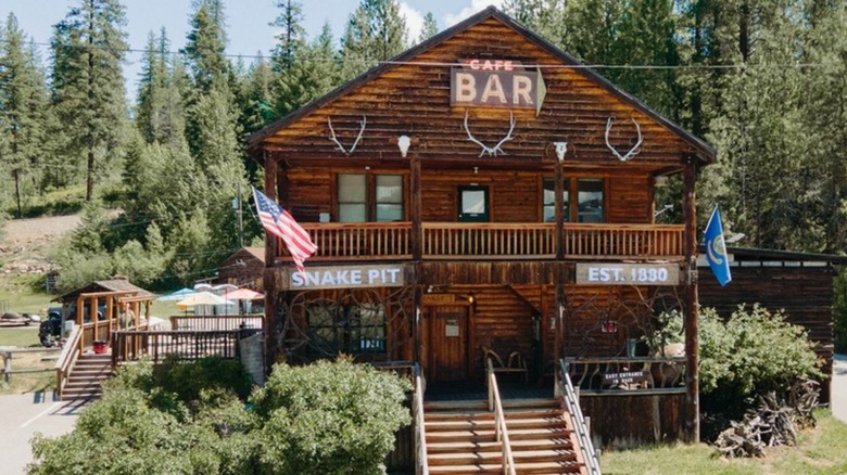 Exterior of the Snake Pit two-story log cabin surrounded by trees