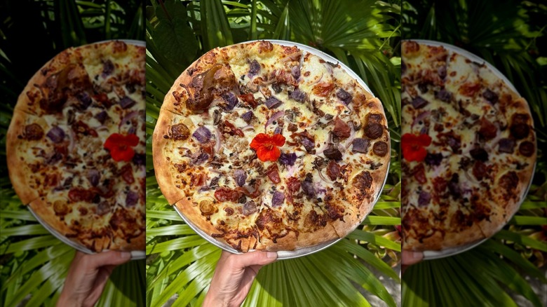 Pizza with jungle plants and tropical flower
