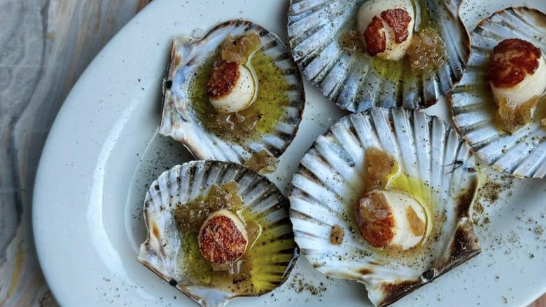 grilled scallops served on half shells