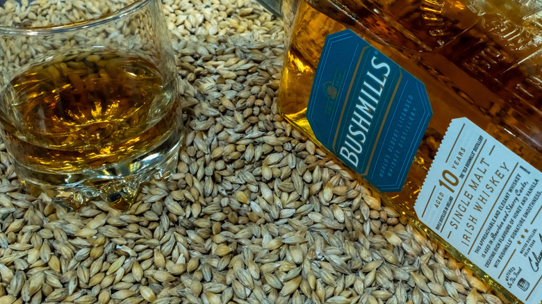 A close up of a bottle of Bushmills 10-year laid on top of grain next to a filled glass
