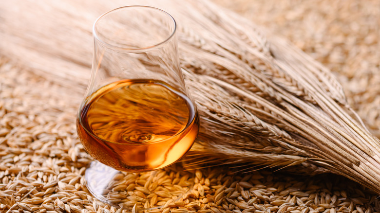 A glass of whiskey sitting on top of grains next to ears of barley