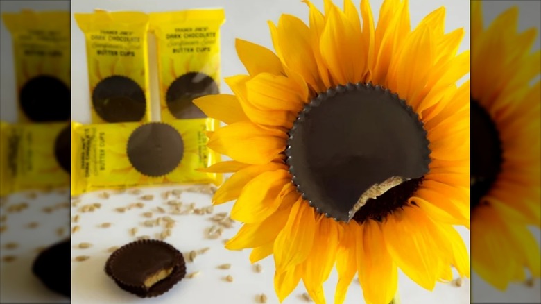 Trader Joe's Dark Chocolate Sunflower Seed Butter Cups displayed in packages and with fresh sunflower