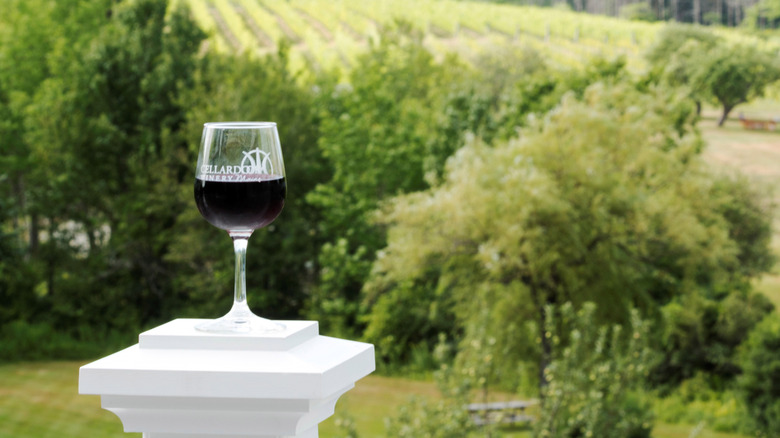 A glass of red wine with the Cellardoor Winery logo, with the vineyard in the background
