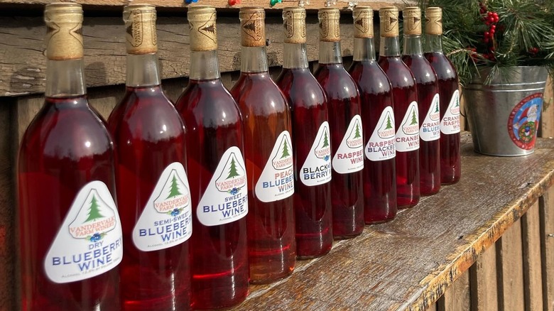 A row of Vandervalk Farm and Winery's fruit wines on a wooden shelf beside a Christmas bucket containing pine needles and hollyberries.
