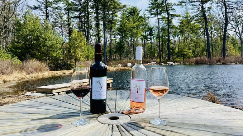 A bottle and glass of red wine, and a bottle and glass of rose on a wooden table, overlooking the water and forest